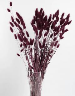 Make Your Own Autumn Dried Flower Bouquet- Buy N