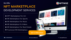 Nft Marketplace Development Solutions  Nftwiiz