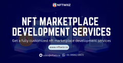 Nft Marketplace Development Solutions  Nftwiiz