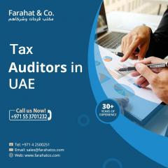 Tax Audits In Uae