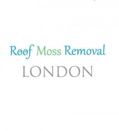 Roof Moss Removal London