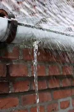 Contact Taylor Gutter Cleaning & Repairs For All