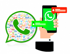 Buy White Label Whatsapp Clone App - Ais Technol