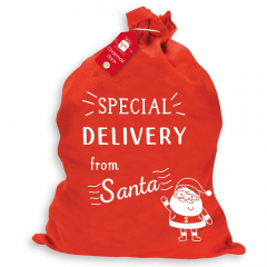 Special Delivery From Santa-Present Sack  Pricel