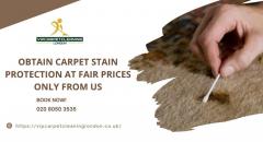 Obtain Carpet Stain Protection At Fair Prices On