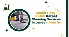 Acquire Top-Notch Carpet Cleaning Services In Lo