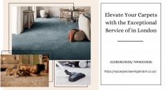 Elevate Your Carpets With The Exceptional Servic