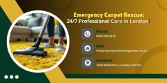 Emergency Carpet Rescue Available 7 Days Profess