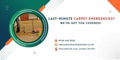 Last-Minute Carpet Emergencies Weve Got You Cove