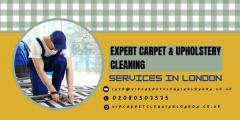 Expert Carpet & Upholstery Cleaning Services In 