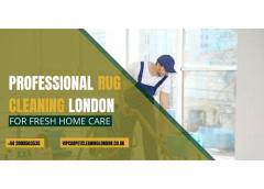 Professional Rug Cleaning London For Fresh Home 