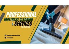 Professional Mattress Cleaning Services For Fres