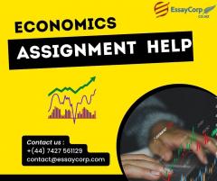 Boost Your Grades With Our Top-Notch Economics A