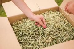 Hay Boxes In The Uk With The Fresh Hay Grass