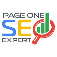 Raise Your Business With In Profits Via Seo Expe