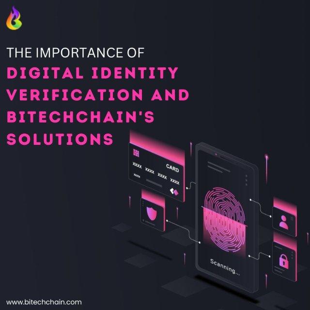 Importance of Digital Identity Verification and BitTechChains Solutio 2 Image