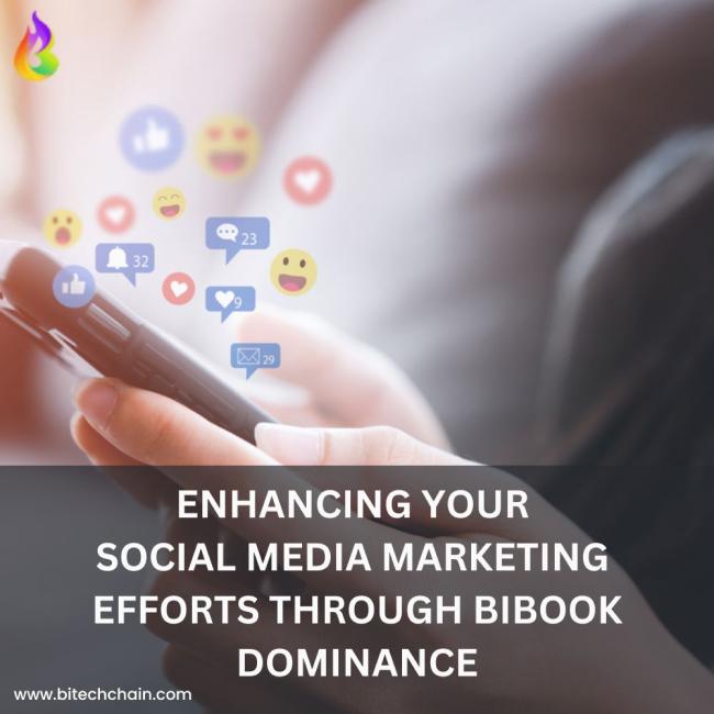 Enhancing Your Social Media Marketing Efforts through Bibook Dominance 2 Image