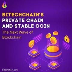How Bitechchains Private Chain And Stable Coin A