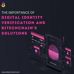 Importance Of Digital Identity Verification And 