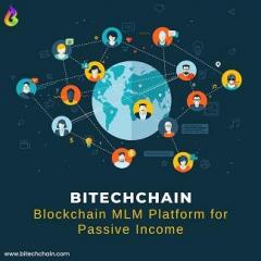 Blockchain Mlm Platform For Passive Income