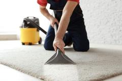 Professional Carpet Cleaning In Guildford By Tra