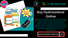 Buy Hydrocodone Online Without Prescription Free