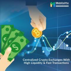 Mobiloittes Centralized Crypto Exchange Developm