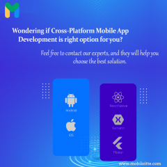Mobiloittes Cross-Platform App The Future Of Mob