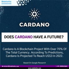 Development Services On Cardano Blockchain At An