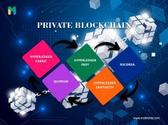 Contact Mobiloitte For Private Blockchain Develo