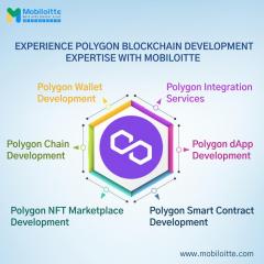 Polygon/Matic Development Company