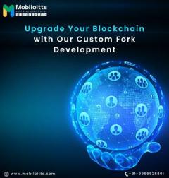 Upgrade Your Blockchain With Our Custom Fork Dev