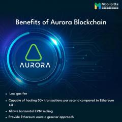 Aurora Blockchain Development Services - Mobiloi