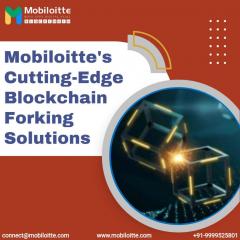 Mobiloitte Cutting-Edge Blockchain Fork Developm