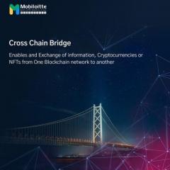 Mobiloittes Cross-Chain Bridge Solutions Enablin