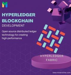 Transform Your Business With Hyperledger Blockch