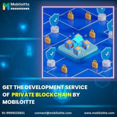 Get The Development Service Of  Private Blockcha
