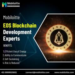 Mobiloitte Eos Blockchain Development Experts