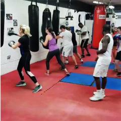 Take A Look At The Best Online Boxing Classes Fo