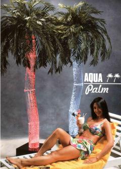 Water Bubble Palm, New