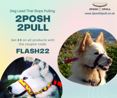 Buy A Dog Head Collar For Your Pet 2Posh2Pull