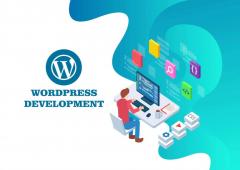 Hire Plus Promotion Uk For Wordpress Development