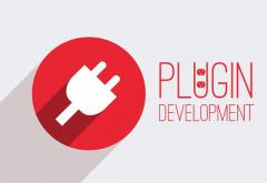 Hire Plus Promotions Uk For Wordpress Plugin Dev