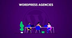 Contact Plus Promotions Uk For Wordpress Agency 