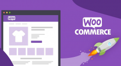 Woocommerce Agencies For Theme Development In Th