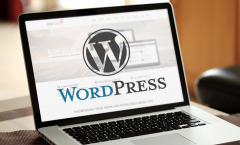 Get An All-Inclusive Solution  Wordpress Develop