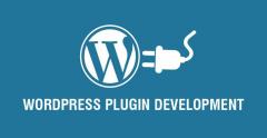 Empower Your Site With A Wordpress Plugin Develo