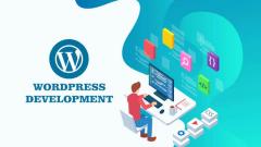 Plus Promotions Your Trusted Wordpress Developme