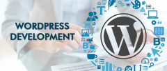Unlock Online Growth With Wordpress Development 