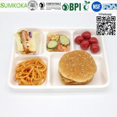 Food Tray Disposable Tray Sugarcane Tray Meat Tr